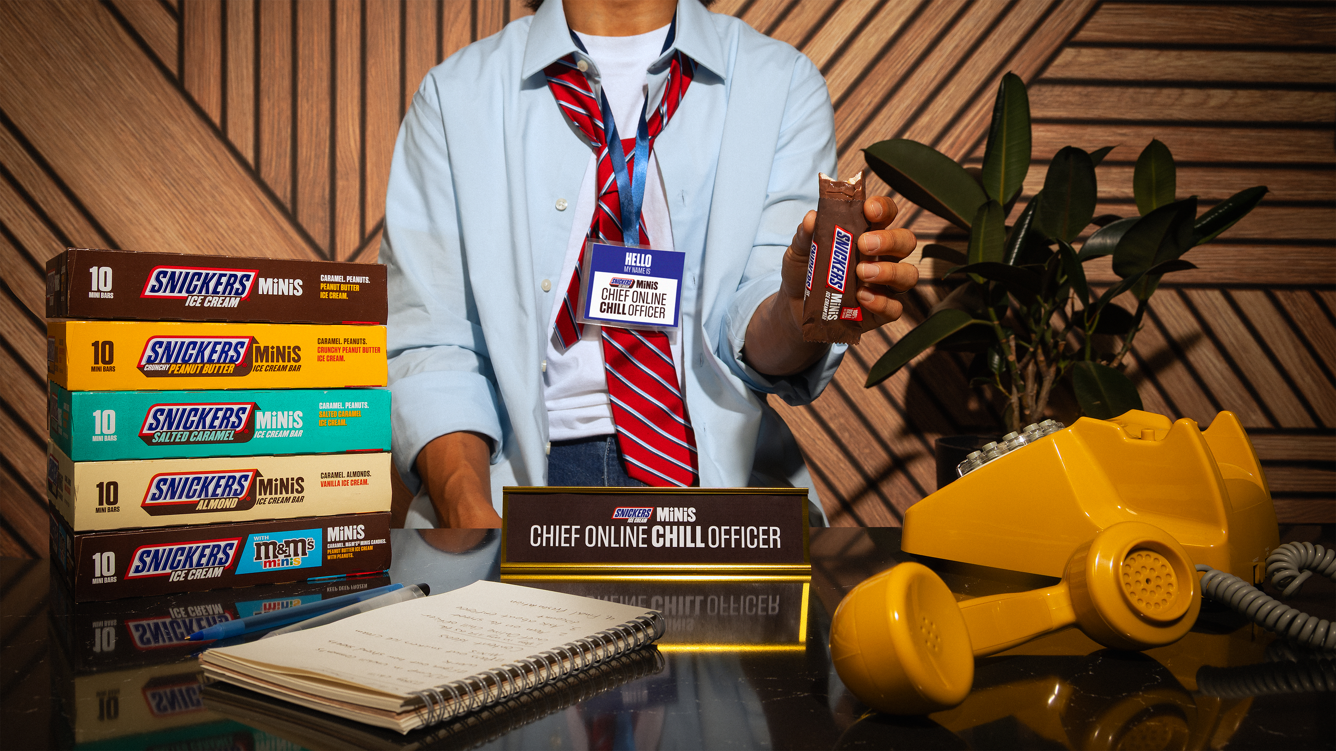 SNICKERS® ICE CREAM MINIS IS SEARCHING FOR ITS FIRST-EVER 'CHIEF ONLINE CHILL OFFICER' TO HELP BRING MORE CHILL AND HUMOR TO THE INTERNET