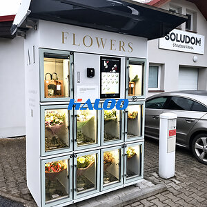 Smart Vending Machine Supplier HALOO Reaches 100+ Intellectual Property Milestone and Serves Markets Across 100+ Countries