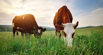 Mercantile Life Science Ventures IV and Big Idea Ventures Invest in Maia Fertility