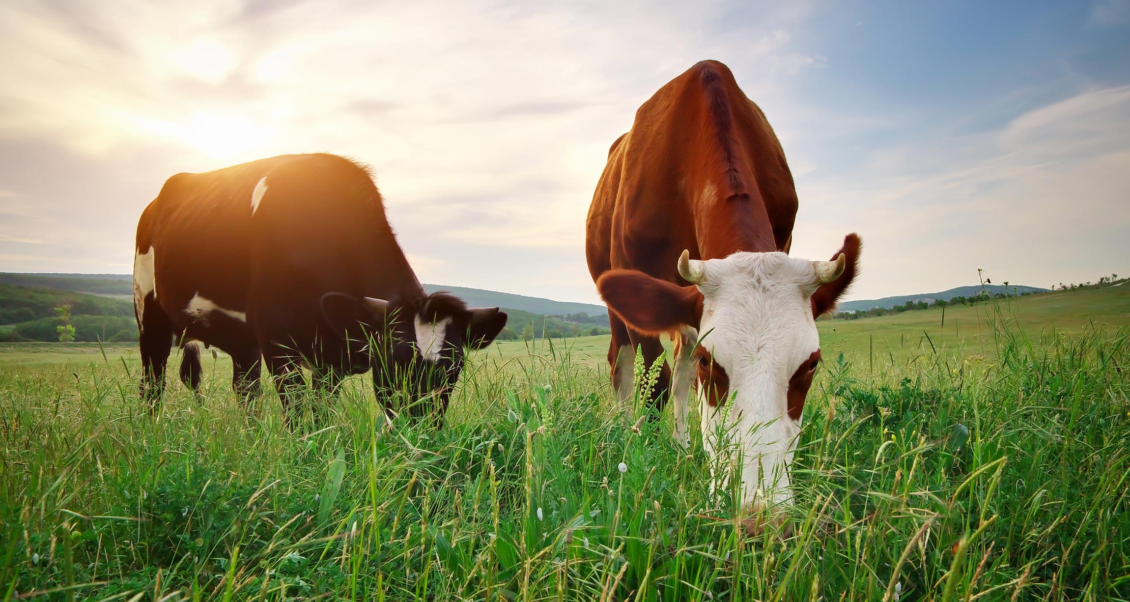 Mercantile Life Science Ventures IV and Big Idea Ventures Invest in Maia Fertility