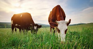 Mercantile Life Science Ventures IV and Big Idea Ventures Invest in Maia Fertility