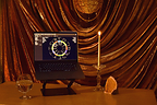 A display featuring Gold Titan Management's experiential astrology vendor setup.