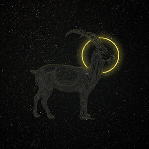 This Company is Building a Roster of Astrologers to Book for Events