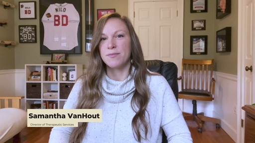 Family Counseling Expert Samantha VanHout of Geneva Explains Healing-Centered Therapy for HelloNation