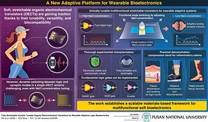 Pusan National University Reports an Adaptive Organic Transistor for Wearable Electronics