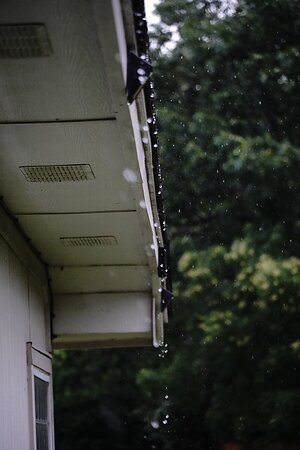 The Most Common Home Repairs During Monsoon Season--and How to Prevent Them