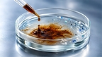 Propel Health Australia Highlights Emerging Research into Fulvic Acid and Microplastics