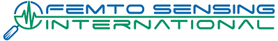FSI Logo