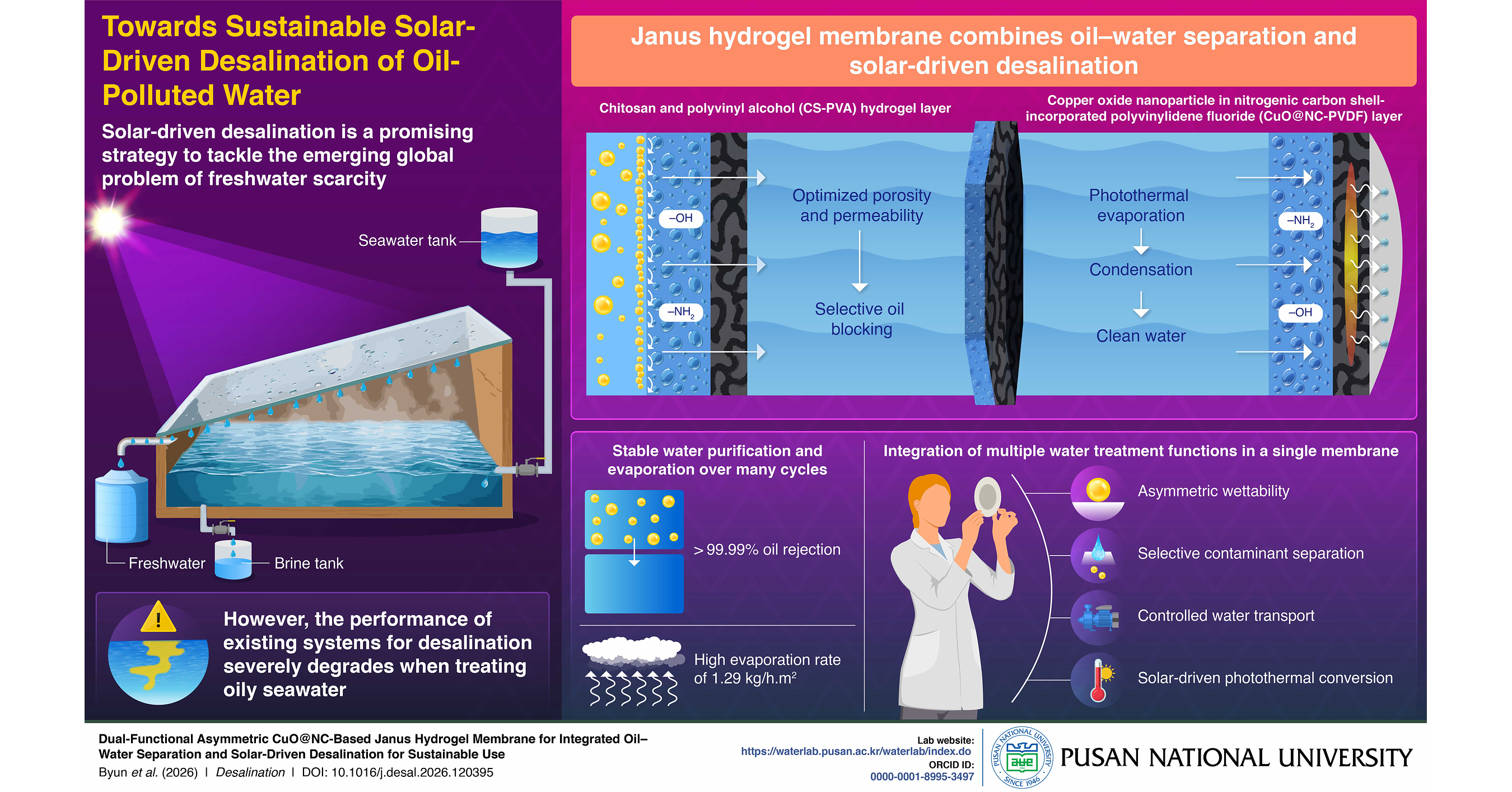 Pusan National University Study Advances Solar Desalination with Multifunctional Membrane