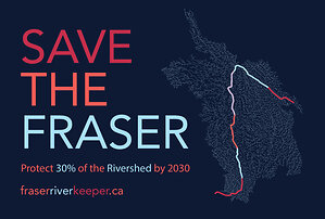 Relay Swimmers Challenge the Fraser River during difficult B.C. wildfire season