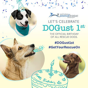NORTH SHORE ANIMAL LEAGUE AMERICA CELEBRATING DOGust 1st® - THE OFFICIAL BIRTHDAY OF ALL RESCUE DOGS