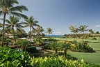 Kukuiʻula View