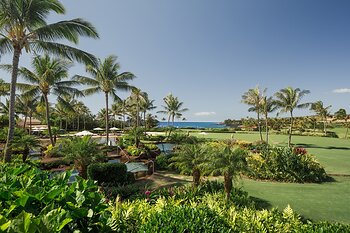 Kukuiʻula View