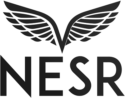 NATIONAL ENERGY SERVICES REUNITED Logo