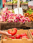 Visit Farmers Markets of Napa Valley for market locations and schedules, then discover all the markets have to offer.