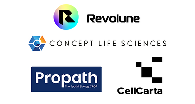 Revolune Service Providers
