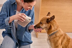 OXO Brings Its Thoughtful Design Philosophy to Pet Care
