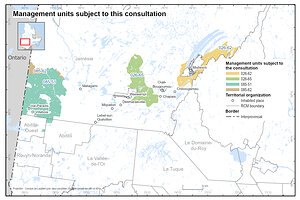 Forest management in Nord-du-Québec - Public consultation from August 3 to 27, 2026