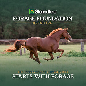 Standlee Launches Forage Foundation™ to Advance the Role of Forage in Equine Nutrition