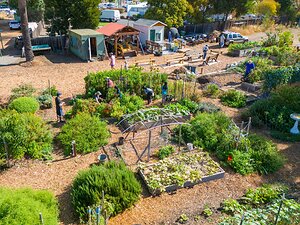 Rooted in Community: Nature's Path Organic Foods Announces 2026 Gardens for Good Grant Winners