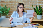 Vital Forms Direct Highlights Growing Demand for Clearer Online Vital Records Services