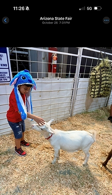 Ron Simon & Associates Files Lawsuit Against Arizona State Fair Over 2025 Petting Zoo E. coli Outbreak That Left Six-Year-Old Boy on Dialysis