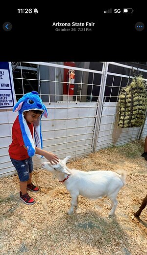 Ron Simon & Associates Files Lawsuit Against Arizona State Fair Over 2025 Petting Zoo E. coli Outbreak That Left Six-Year-Old Boy on Dialysis