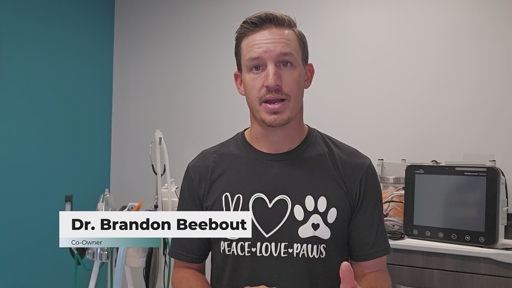 In HelloNation, Veterinary Experts Drs. Brandon and Paola Beebout Explain How Pet Rehab Relieves Pain and Builds Strength