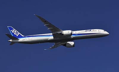 ANA's Aircraft image