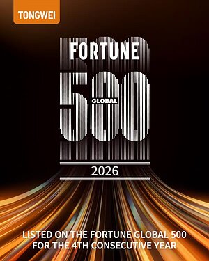 TONGWEI Secures Fourth Consecutive Fortune Global 500 Listing