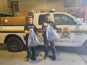 Successful season of elver harvest and enforcement in Nova Scotia and New Brunswick
