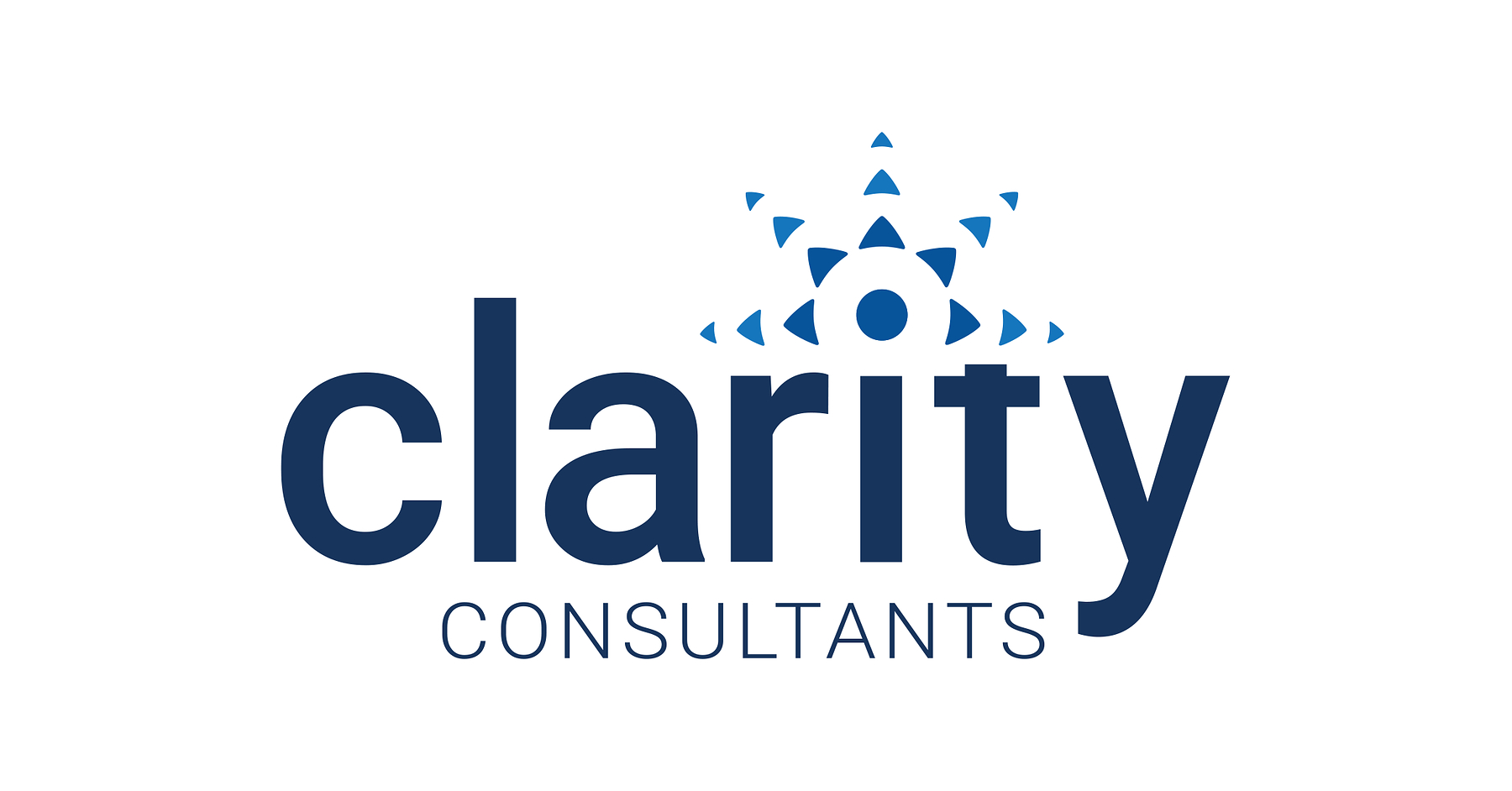 Clarity Consultants Appoints Heidi Milberg as Executive Vice President of Growth and Client Services