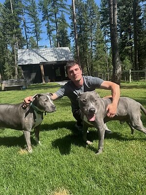 Shelter Pets Get an Encore as Josh Hutcherson Returns with Hill's Pet Nutrition for NBCUniversal Local's Clear The Shelters