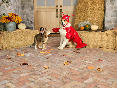Credit: PetSmart