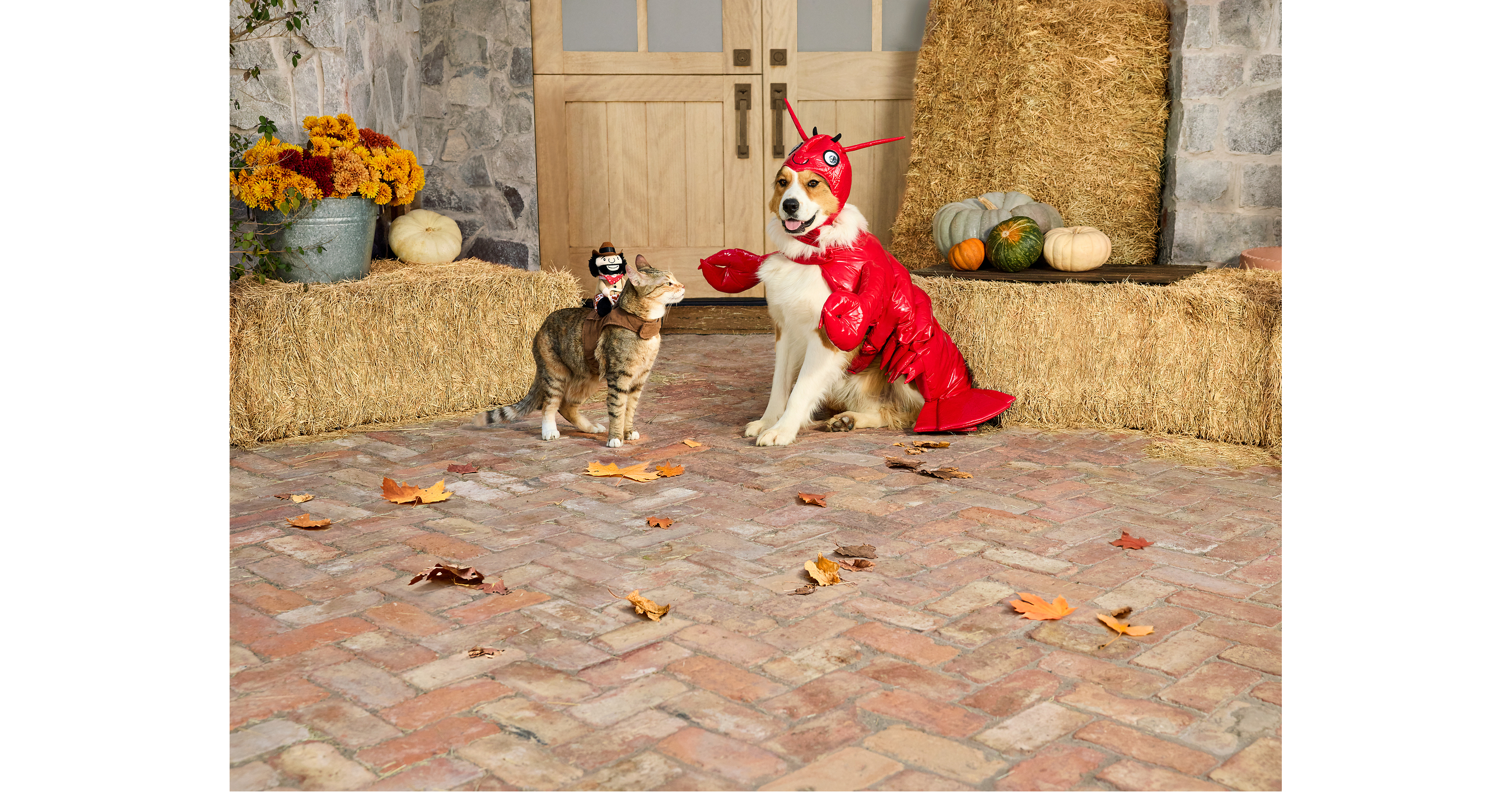 PetSmart's 2026 Thrills & Chills Halloween Collection Features Styles for Every Pet Personality