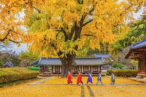 Korea Tourism Organization Canada Launches "Hello Korea" Promotion and K-Travel Fest, Rewarding Travelers with Exclusive Perks in Toronto