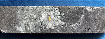 Figure 4 - Coarse visible gold in quartz-feldspar vein, hole 25OPDD0007 (460m depth)