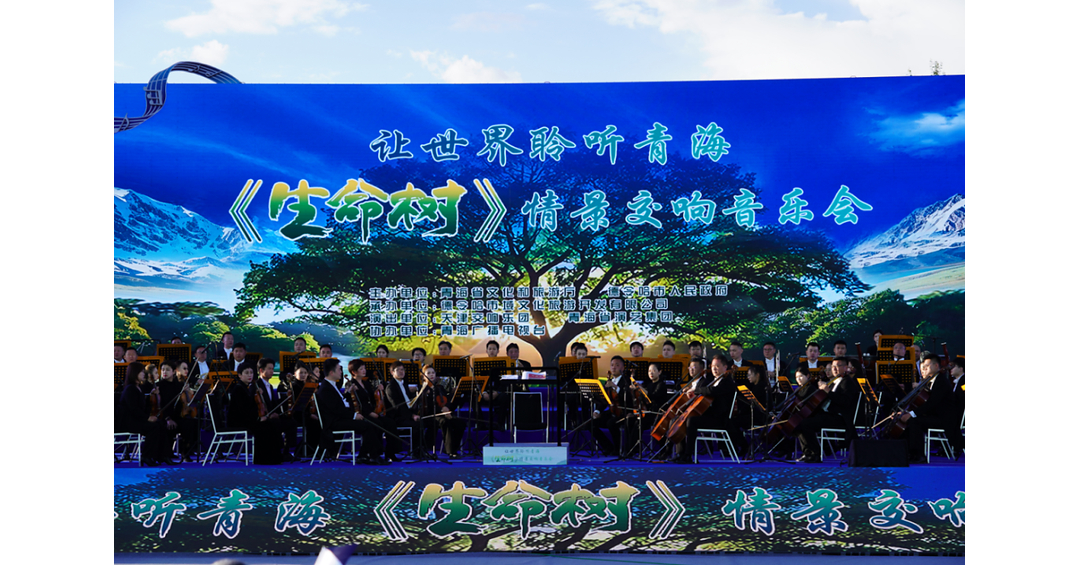 Xinhua Silk Road: Born to be Alive scenario-themed symphony concert debuts in Delingha of Chinas Qinghai