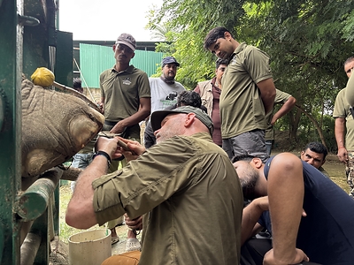 Members of McClure International Consulting and Wildlife SOS work together during a hands-on elephant foot care training session at the Elephant Conservation and Care Centre in India.