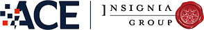 Insignia Group Launches ACE, Accessory Commerce Infrastructure for the Automotive Industry
