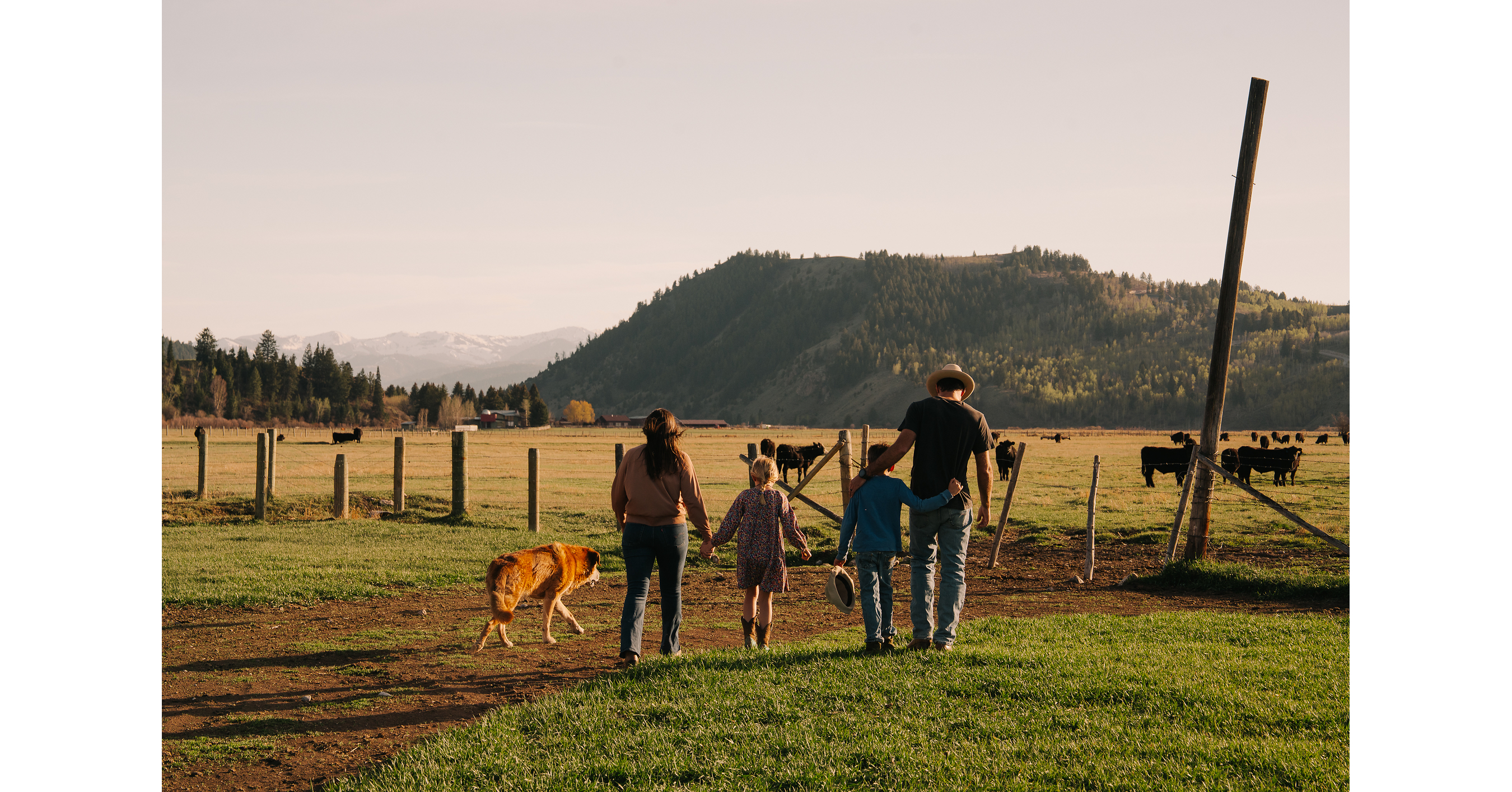 Sam Mead Builds Grassroots Wyoming Campaign While Hageman Campaign Fueled by National PACs and Out-of-State Donors