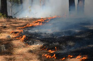 Episcopal Relief &amp; Development is Partnering in Response to Wildfires in Eastern Washington