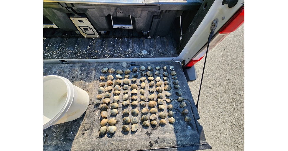 Four shellfish harvesters fined a combined $18,000 for illegal fishing and obstruction in Deep Bay, British Columbia
