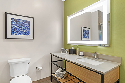 Cambria Hotel Euless - DFW Airport South bathroom