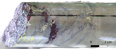Fig 4. NUS-DD-26-07: 1.39% Cu, 0.05 g/t Au, 16.8 g/t Ag over 3.5m. Bornite-Chalcopyrite mineralization in siltstone host at 922.7 m. The image depicts a vein, rich in bornite with minor chalcopyrite, truncated by a later fracture, itself presenting chalcopyrite. The image shows clear evidence of multiple mineralization phases, which are being regularly noted by logging staff at Nussir. Findings such as this provide exciting prospects and theories for the department.