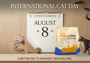 PetPivot Marks International Cat Day with the Launch of PoPoLitter