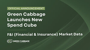 Green Cabbage Announces the Launch of the F&I (Finance & Insurance) Market Data Spend Cube