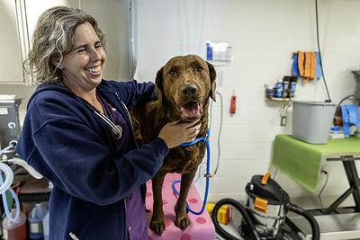 PetSmart Charities Launches Veterinary Fellowship Program  