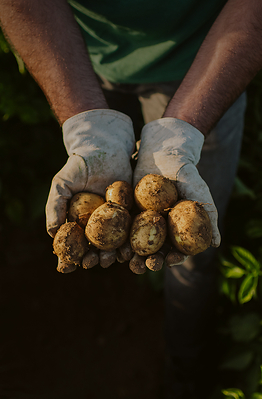 In 2025, PepsiCo also delivered 79 billion portions of diverse ingredients, including whole grains, plant-based proteins, fruits and vegetables.