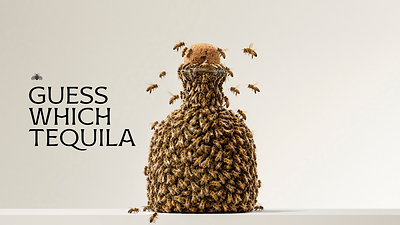 PATRÓN® TEQUILA CONTINUES ITS TRANSPARENCY CAMPAIGN, ASKING DRINKERS WHAT’S ACTUALLY IN THEIR TEQUILA